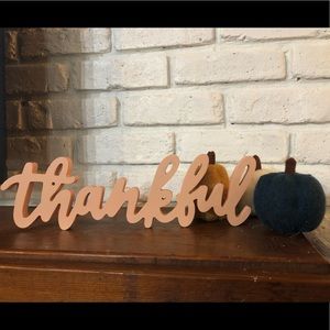 Thanksgiving Fall Felt pumpkin bundle
